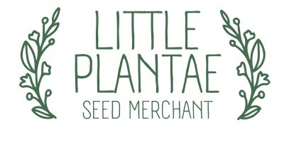 Little Plantae Seed Merchant