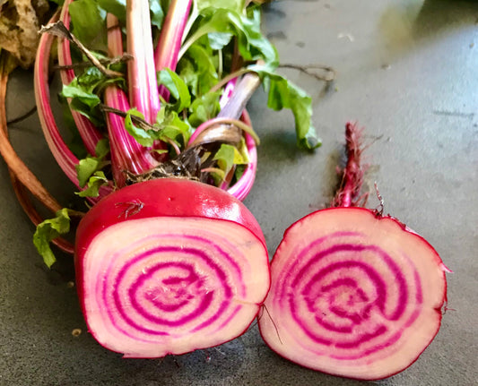 Beetroot - Chioggia