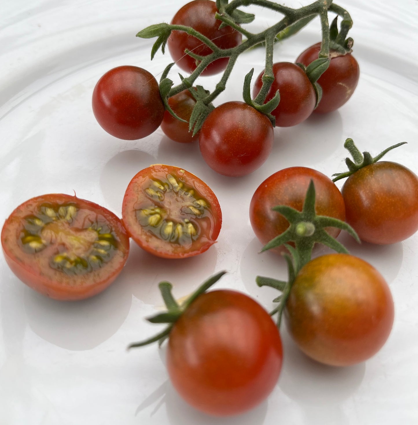 Tomato - Brown Cherry