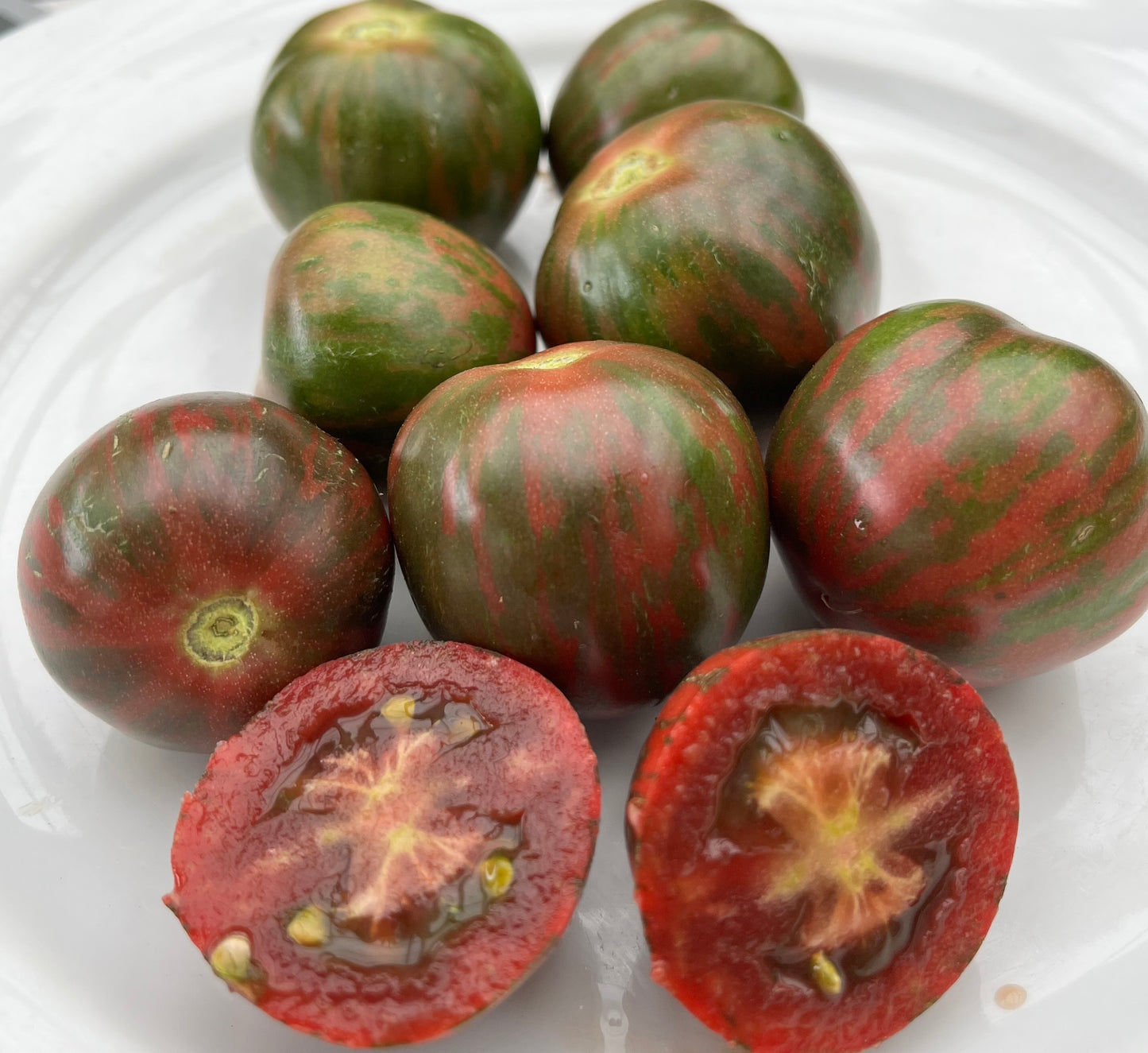 Tomato - Violet Jasper