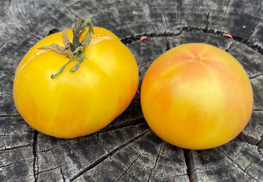 Tomato - Wapsipinicon Peach